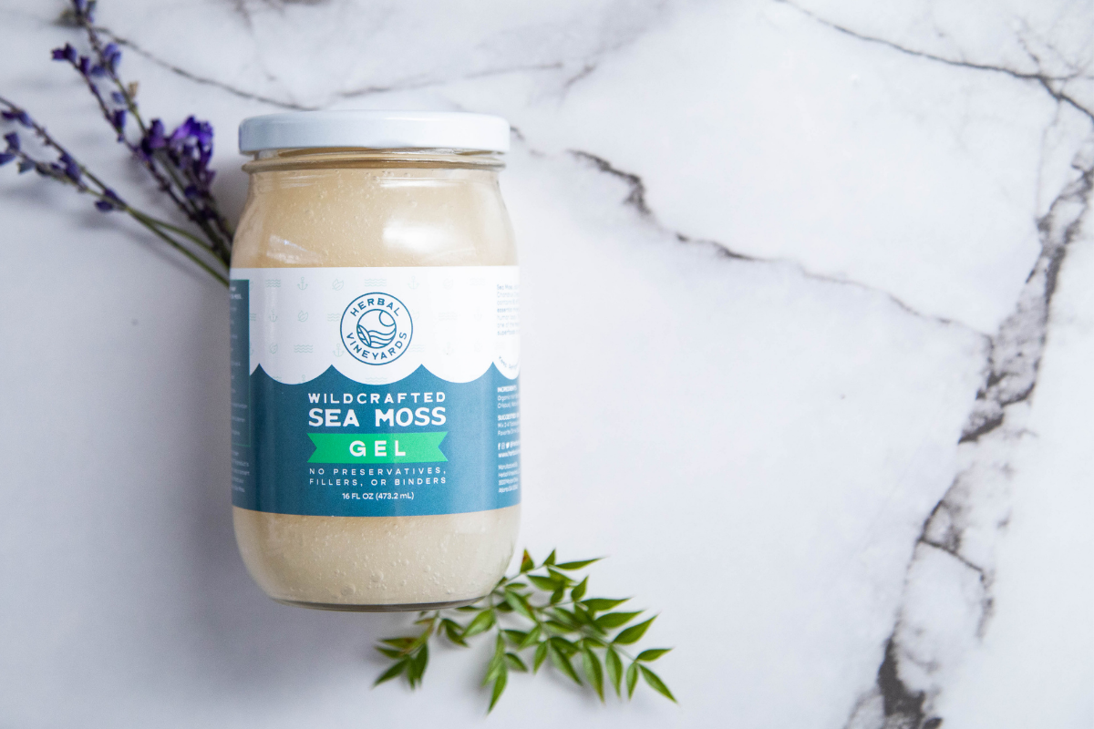 How to tell if Sea Moss Gel is bad? Herbal Vineyards
