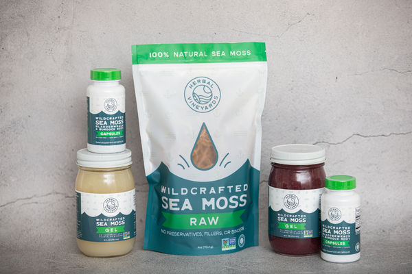 Top 5 Sea Moss Gel Benefits