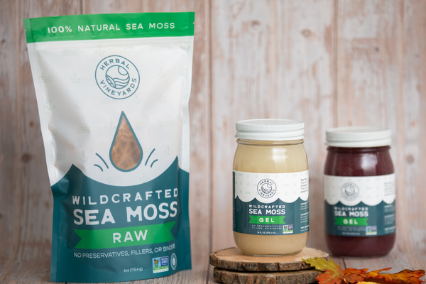 Are You Tired All the Time? Try Sea Moss to Replenish Energy