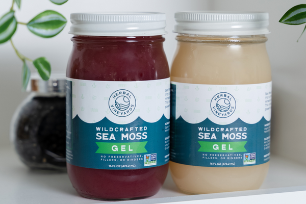 Sea Moss - Packed with Good Vitamin Bs (B1, B2, B9, B12). Here is how Vitamin Bs help you.