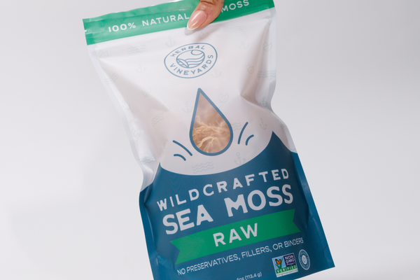 Sea Moss for Kids: Here’s What You Need to Know