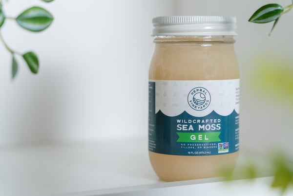 5 reasons Your Child Should Eat Sea Moss Supplement