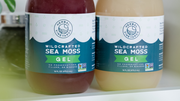 5 Sea Moss Benefits for Men