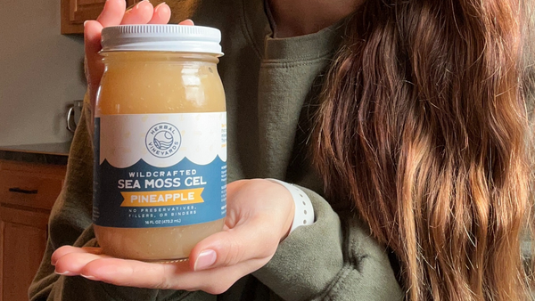 How to Tell if Sea Moss Gel is Stale & How to Increase its Shelf-Life