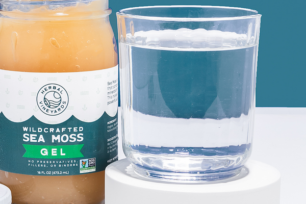 Sea Moss in Beauty Brands: What’s Behind the Surge?