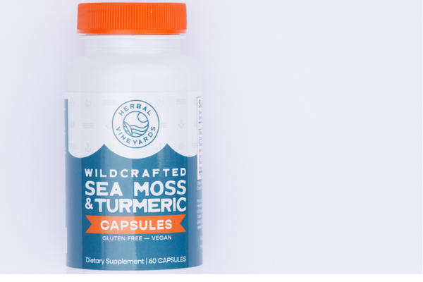 Homemade Sea Moss Gummies for the Whole Family