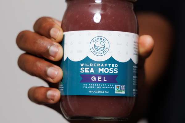 The Ultimate Detox Recipe Featuring Sea Moss