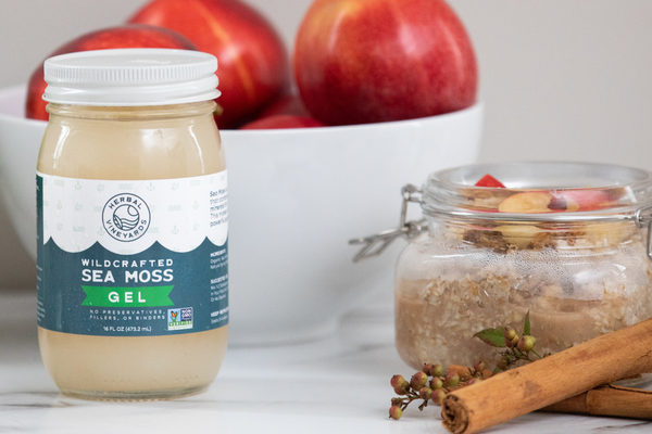 How Sea Moss is Harvested & Processed & Why Does it Matter?