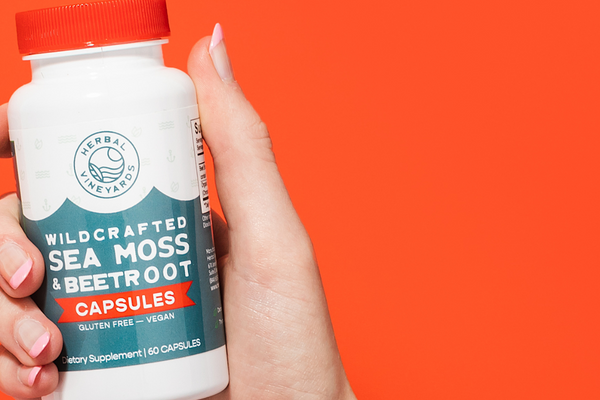 Can I Take Sea Moss? Things To Consider Before Taking This Superfood