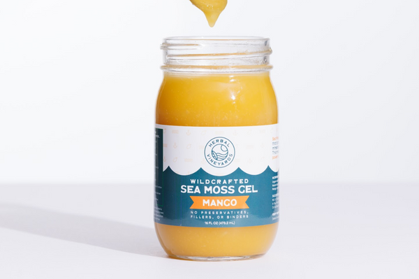 How to Tell If Your Sea Moss Is Fake or Low Quality
