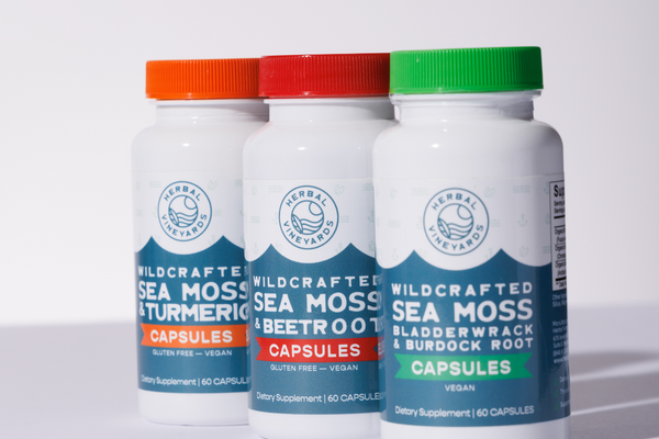 Sea Moss for Autoimmune Conditions: Can It Help?