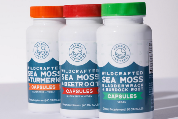 How Sea Moss is a Mental Health Game Changer
