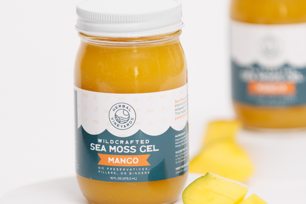 Here’s How To Make Sea Moss A Part of Your Daily Routine