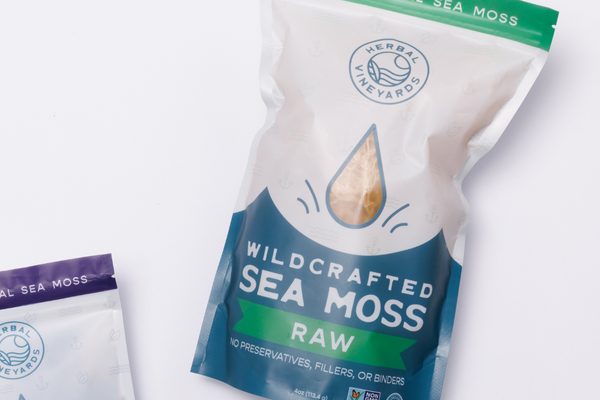Sea Moss and Kombucha – The Next Big Trend?