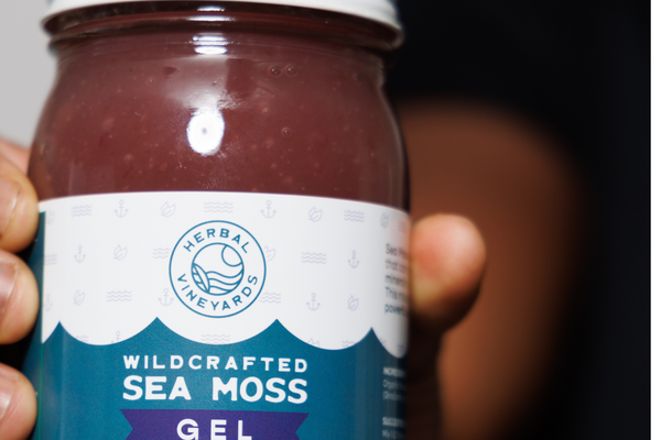 How Sea Moss Comforts You in Period Cramps