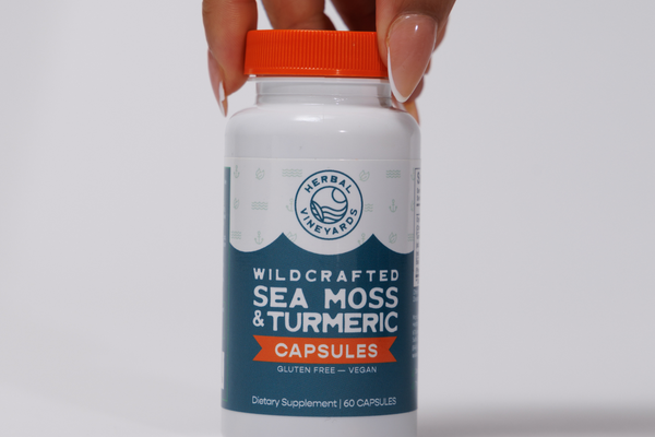 Can Sea Moss Help You Lose Weight?