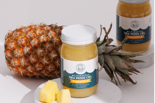 Sea Moss and Your Gut Health