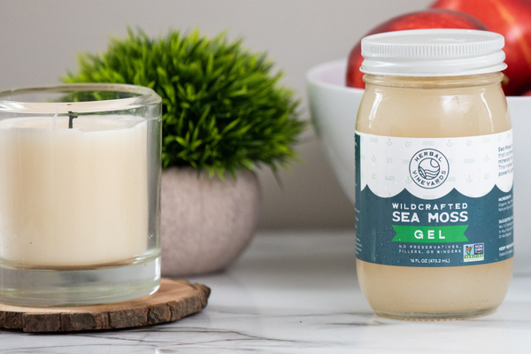 5 Reasons to Include Sea Moss in Your Diet Today!