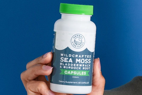 Unveiling the Nutritional Power of Sea Moss