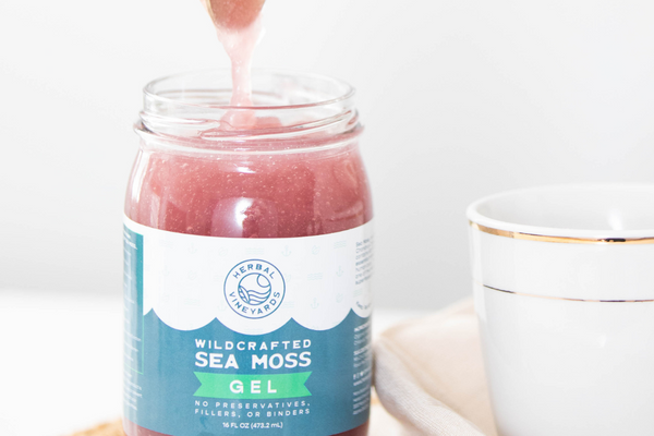 How Sea Moss Can Take Care of Your Skin