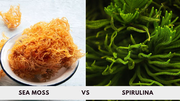 Sea Moss vs Spirulina