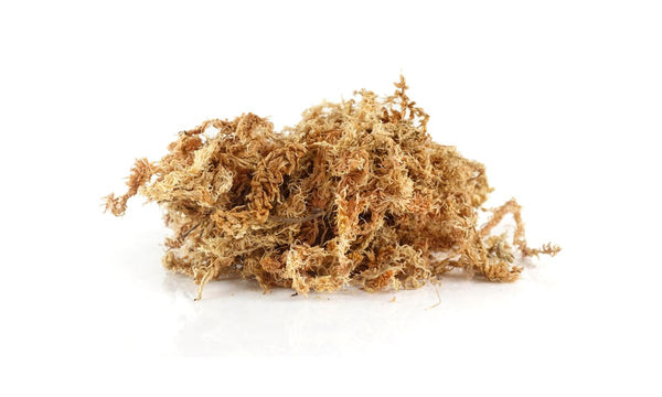 What are the 92 Minerals in Sea Moss?