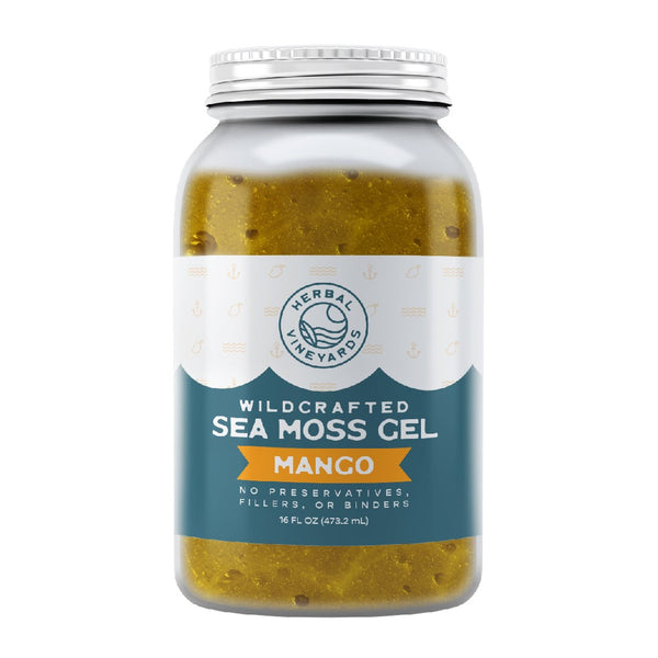 EXCLUSIVE MANGO SEA MOSS GEL