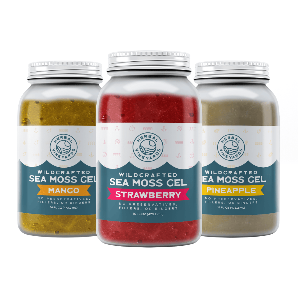 Flavored Sea Moss Gel Trio Bundle – Herbal Vineyards