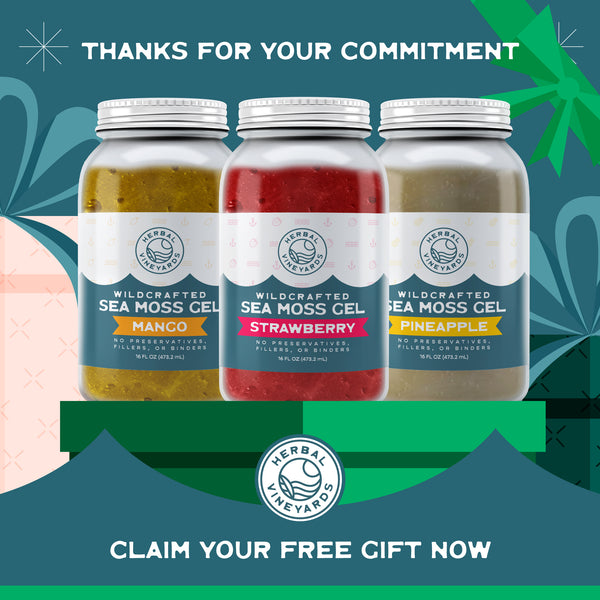 Milestone Gift - Flavored Sea Moss Gel