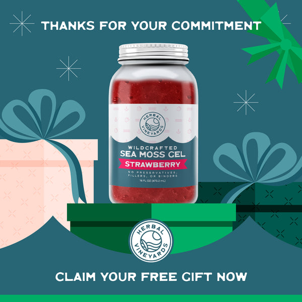 Milestone Gift - Flavored Sea Moss Gel